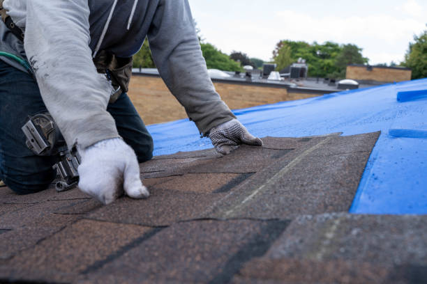 Best Roof Gutter Cleaning  in Shenandoah, VA