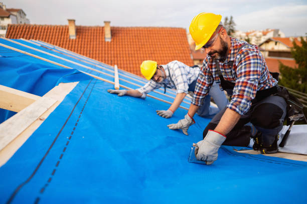 Best Storm Damage Roof Repair  in Shenandoah, VA